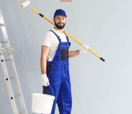 professional painter professional painter